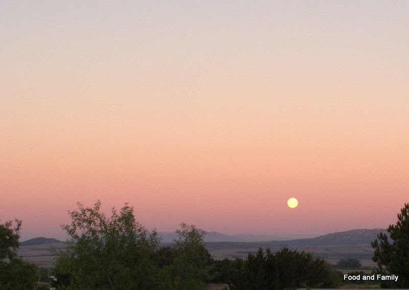Autumn, School, Pies, Pasties and Lard