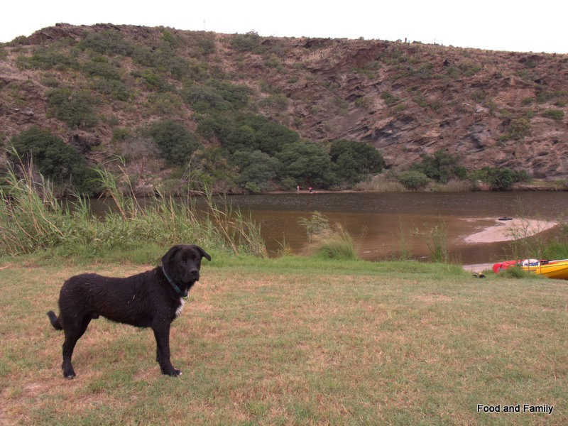George's Big Adventure - River Holiday